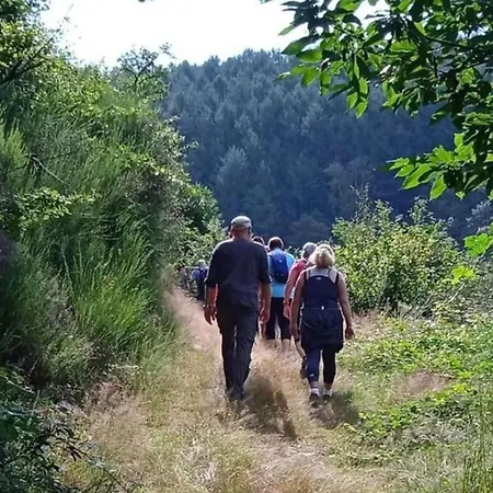 Camping Accueillant Animaux - 5 Pers. - Api-1-52-2280